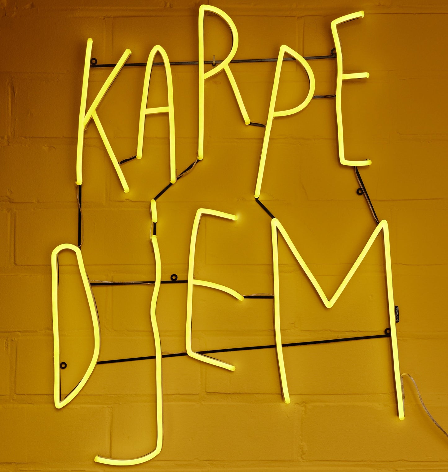 Karpe Djem por Kelly Hortense